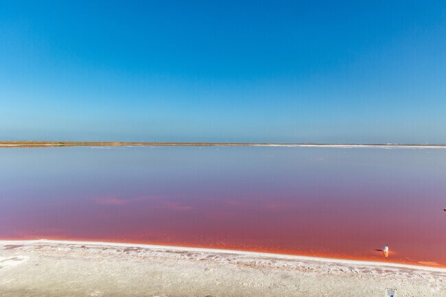 Beautiful salty pink pond at Alviso Marina County Park in Alviso.