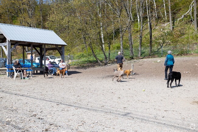 Valley Street Dog Park is a popular hang for canines and humans alike.