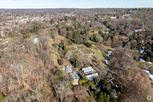 Morris Arboretum in Chestnut Hill is a green escape form the hustle and bustle of the city.