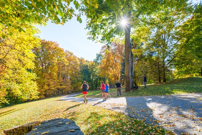 The Greycourt State Park is a runner and dog walkers haven near The North End.