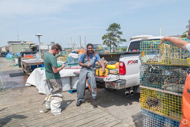 Generations of lobster fishermen prepare for the day's fishing on the wharf in Stonington.