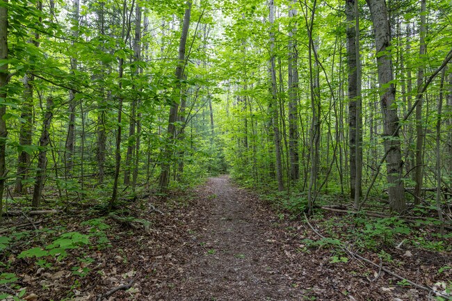 Go deep into nature at South Boardman Nature Preserve.