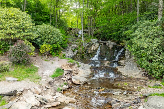 A haven for outdoor enthusiasts, Newland is surrounded by lush forests, rolling hills, and abundant wildlife, like the impressive roadside Waterfall Park.