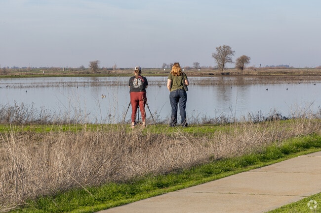 The Consumnes River Preserve is a great location to unplug and be with nature near Galt.