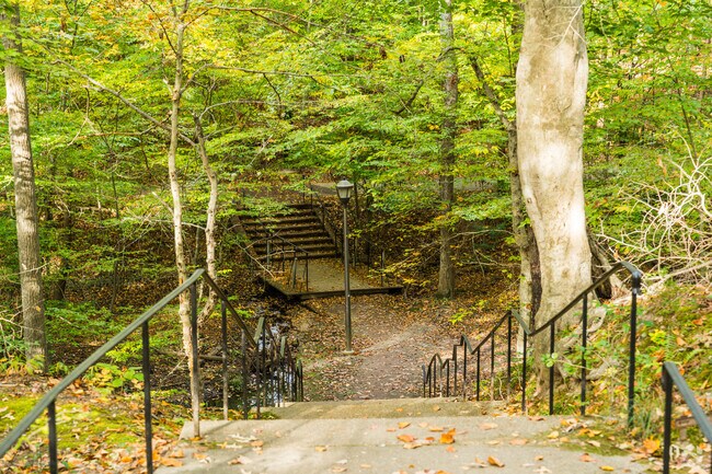A stroll through the lush greenery of William and Mary is like a breath of fresh air.