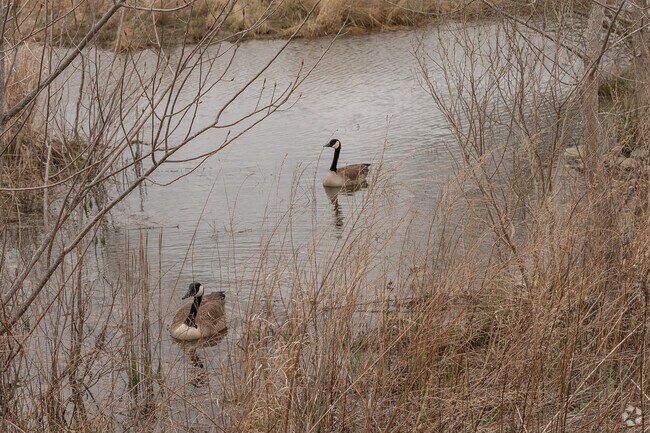 Eltingville residents like the wildlife and hiking opportunities that Brookfield Park provides.