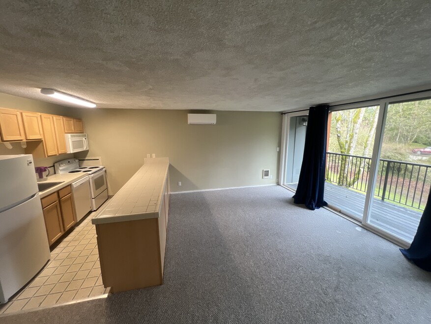 Living room kitchen balcony