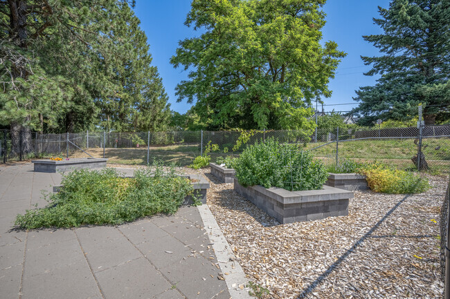 The community garden at Cedar Mill Elementary encourages students to grow and learn.