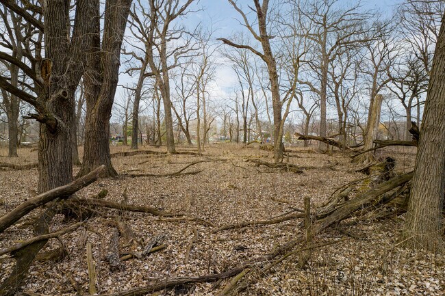 Whistler Woods offers residents of Riverdale a peaceful escape into nature.