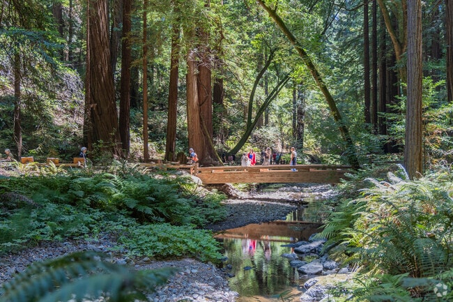 Muir Woods National Monument is only a short drive for residents of Strawberry.