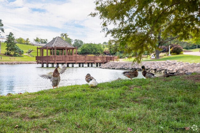 Take in the views at the Vlasis Park duck pond in Ballwin.