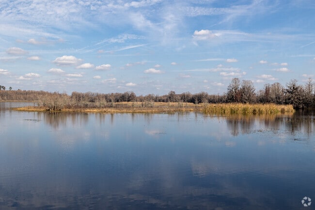 Alligator Lake Park is a beautiful recreation area where you can fish or hike with your family.