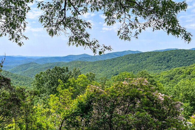 The majestic Pisgah National Forest is a short drive away in Royal Pines.