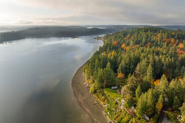 The coastline of Lakebay in the morning sun.