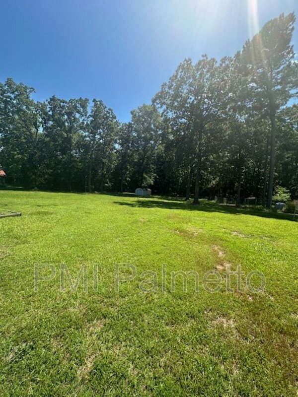 760 Murray Lindler Rd, Chapin, SC 29036 - photo 6