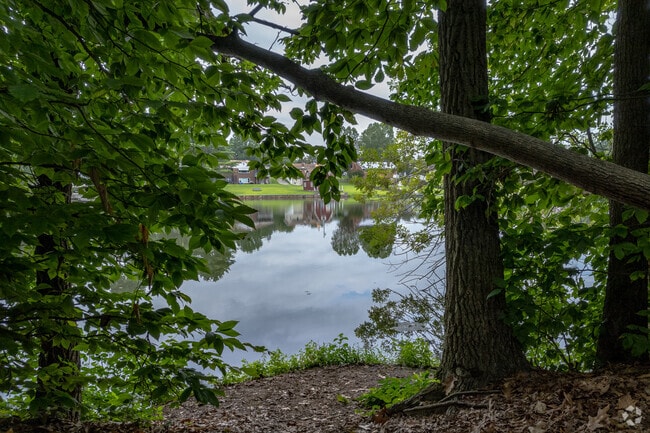There are plenty of different spots to peak through the trees at Lake Narraticon in Woolwich Township.