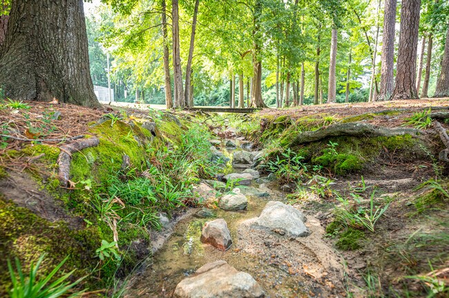 Enjoy the peacefulness that the creek offers while on a walk through Westside.