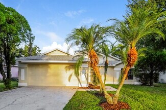 1621 Coppersmith Ct, Lutz, FL 33559