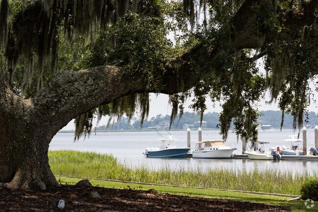 Large oak trees along the Wilmington River in Whitemarsh Island.
