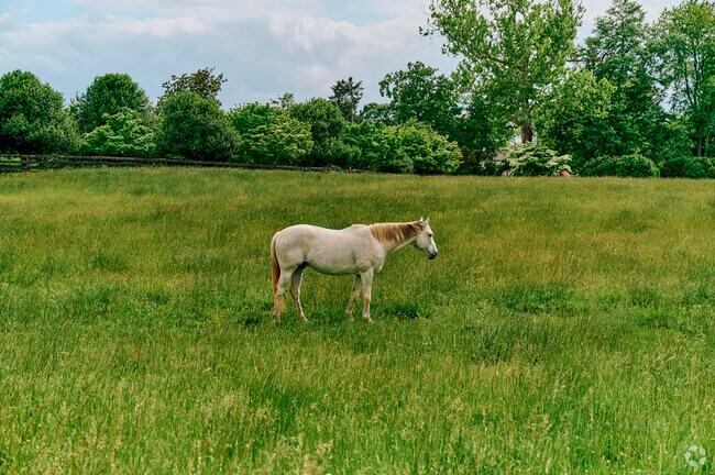 Locals savor sweeping scenery and sunsets across Willowsford.