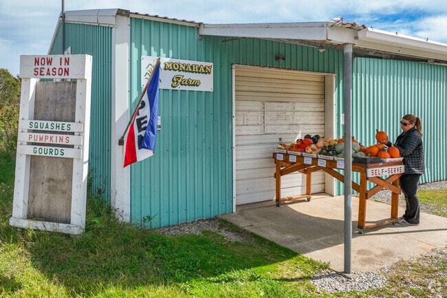 At Monahan Farm in East Kingston, patrons can pick their own berries and peaches during the summer.