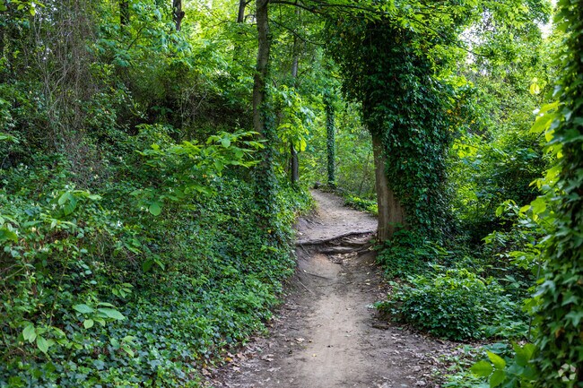 The James River Park system is minutes away from homes in Swansboro.