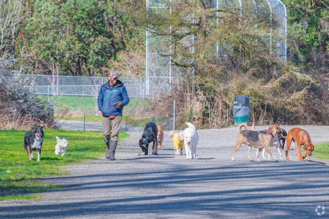 Bring your dogs to make some new friends at Grandview Off-Leash Dog Park.