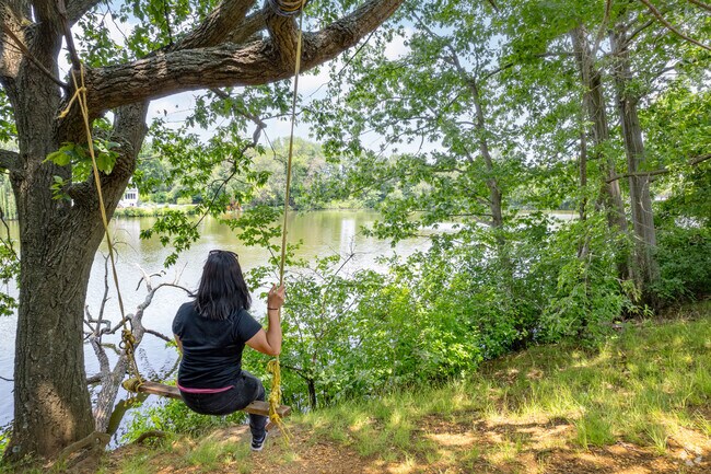 The tree swing at Oaklyn Veteran's Memorial Park offers a view of the Newton Lake.