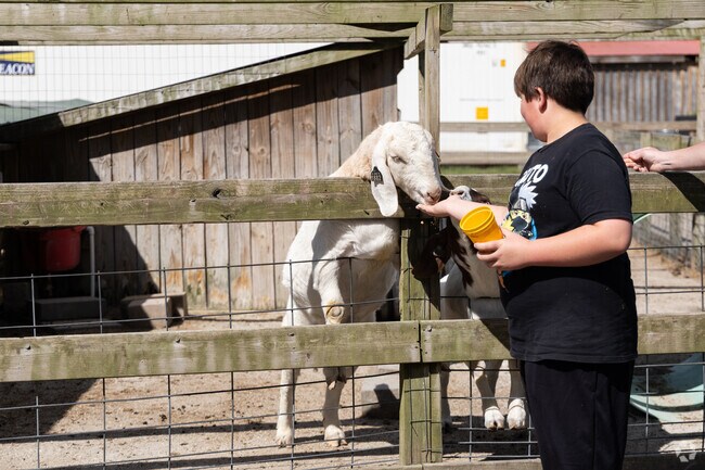 Less than 5 miles from Caroon Farms and Edinburgh, Greenbrier Farms offers fresh produce, a café, petting zoo, and nursery.