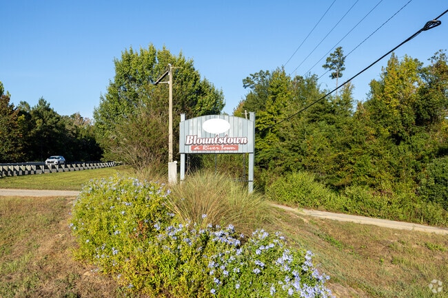 Blountstown is a popular choice amongst buyers who prioritize access to nature.