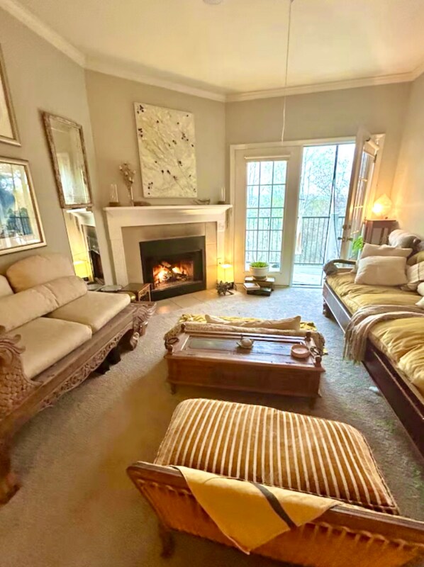 300 Vista Lake Dr, Candler, NC 28715