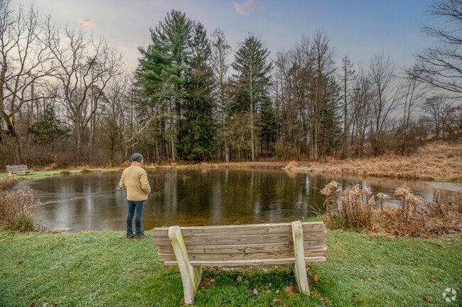 Schiavone Park is one of many parks in Moore Township.