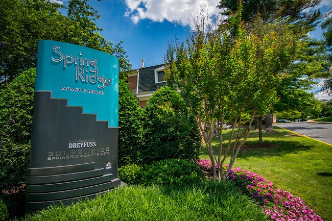 Spring Ridge Apartments, Gaithersburg, MD 20877 - photo 5