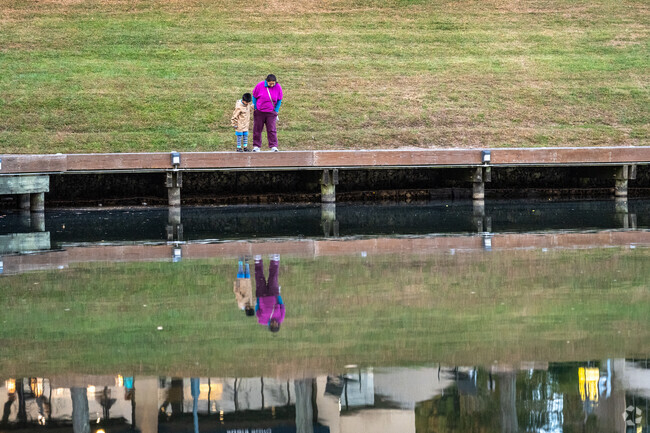 Take an afternoon and explore the many walking paths in Columbia.