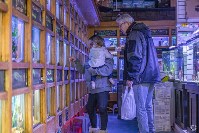 Pleasant Valley residents can head to the Fish Factory for all of their aquarium needs.