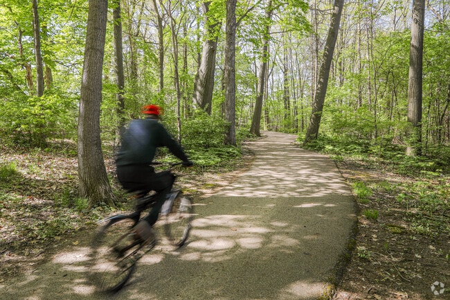 Frances Park trails are ideal for biking along the river.