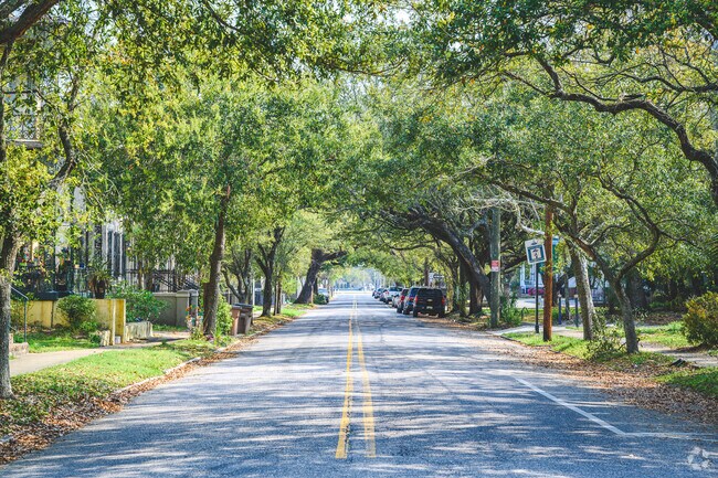 Oak trees provide shade along Arlington’s residential streets.