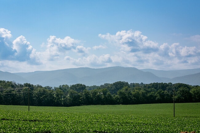 22-web-or-mls-Overbrook Neighborhood-6.jpg