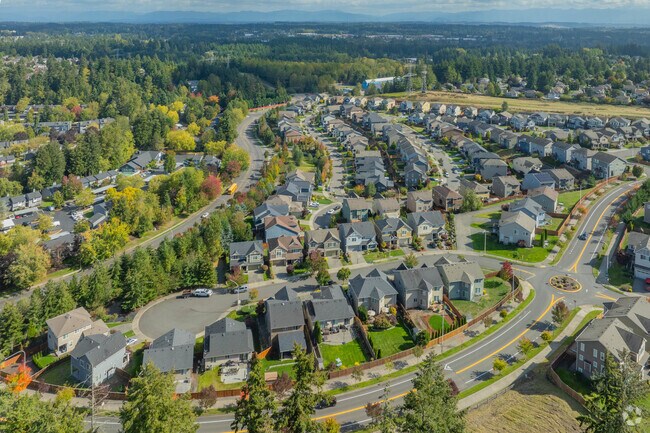 Alderbrook is surrounded by forested land.