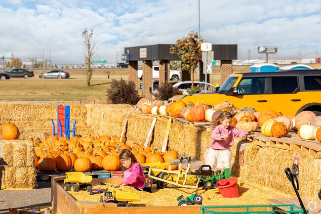 Activities for families and kids outside of the Great Straw Maze in West Acres.