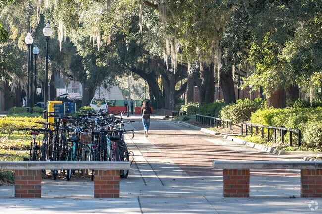 Enjoy a morning walk at the University of Florida in the Duckpond area.