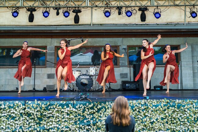 Brazilfest is back in Gainsville, with  a fun and festive vibe for all.