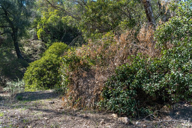 Escape to the Angeles Forest for stunning mountain views, scenic trails, and outdoor recreation.