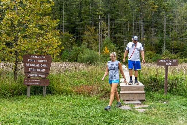Visitors can hike the meandering trail of Loyalsock State forest in Gamble Township, PA.
