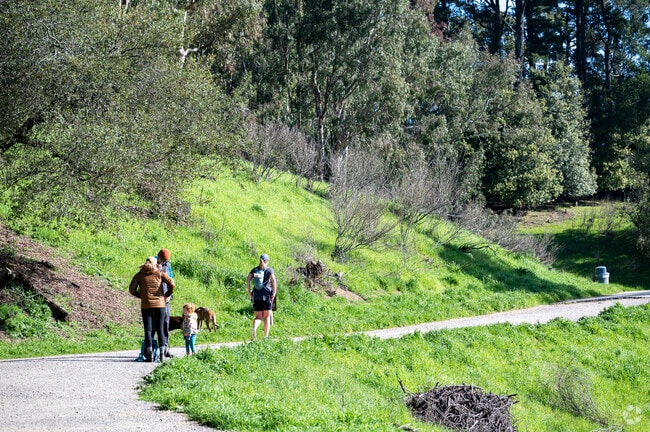Tres Sendas Hike hiking trail in Piedmont Pines.