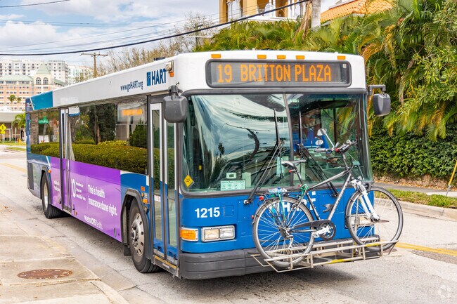 The HART line bus system offers residents public transportation from Davis Islands.