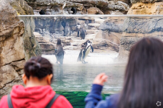 The Woodland Park Zoo is a family friendly place to visit and learn about wildlife.