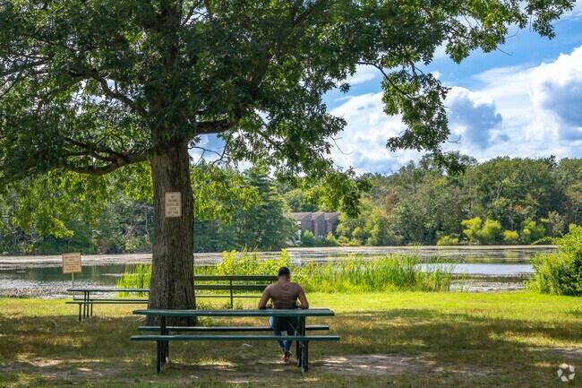Someone is leisurely unwinding on a picnic bench beneath a comforting tree at D.W. Field Park.