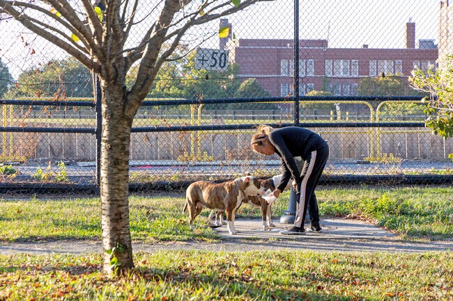 Locals and their four legged friends enjoying a beautiful day at Jerome Park.