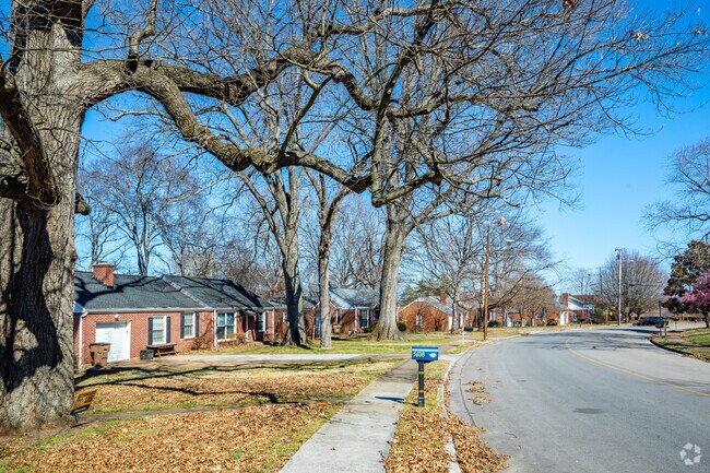 Some roads in Whitebridge are treelined and provide shade when trees are in full bloom.